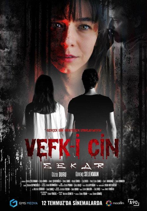 Vefk-i Cin Sekar 2024 official movie poster