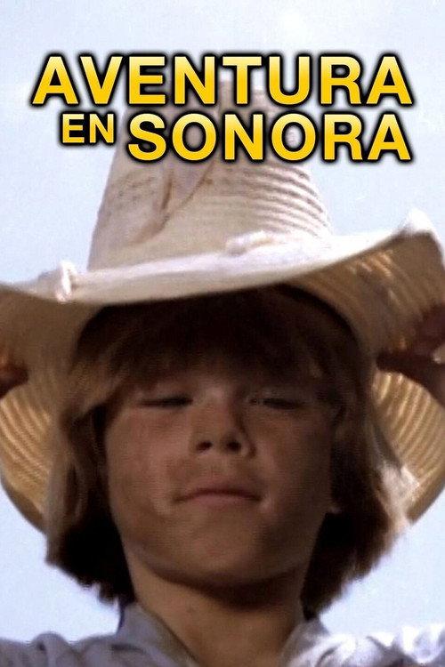 Tetakawi 1980 official movie poster