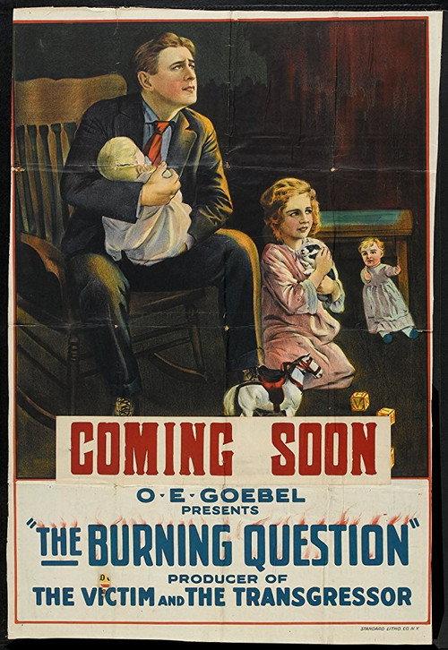 The Burning Question 1919 official movie poster