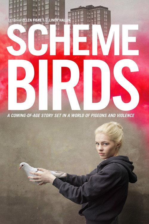 Scheme Birds 2019 official movie poster
