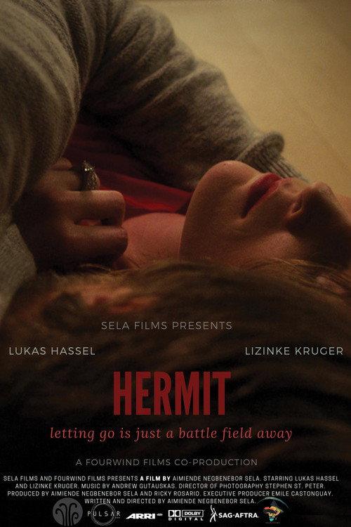 Hermit 2020 official movie poster
