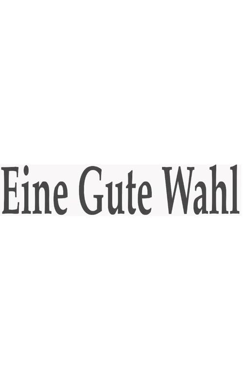 Eine gute Wahl 2013 official movie poster