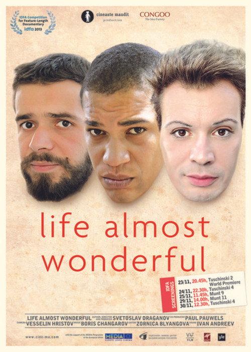 Life Almost Wonderful 2013 official movie poster