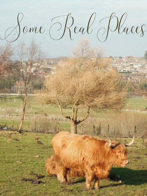 Some Real Places 2025 official movie poster