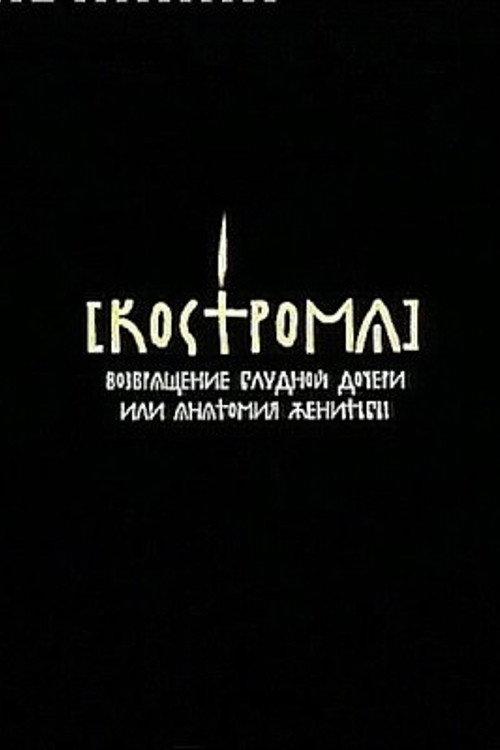 Kostroma 2002 official movie poster
