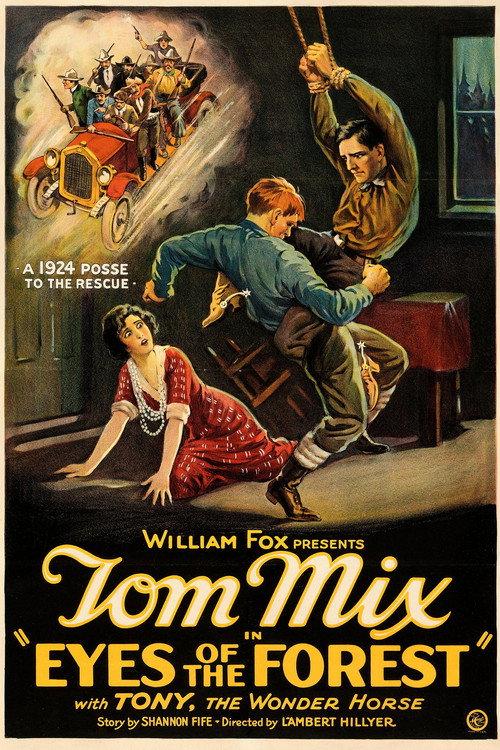 Eyes of the Forest 1923 official movie poster