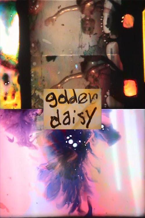 Golden Daisy 2004 official movie poster