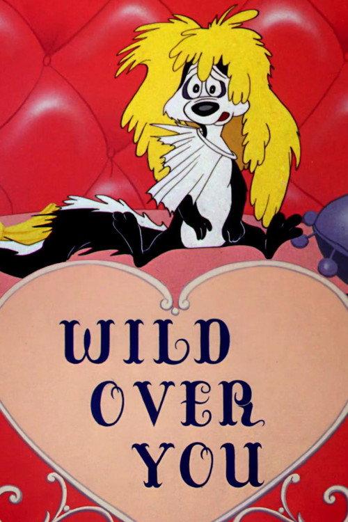 Wild Over You 1953 official movie poster
