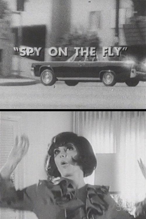 Spy on the Fly 1967 official movie poster