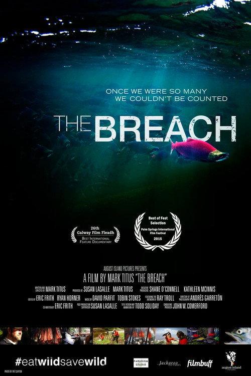 The Breach 2014 official movie poster