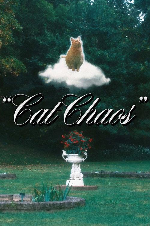 Cat Chaos 2024 official movie poster