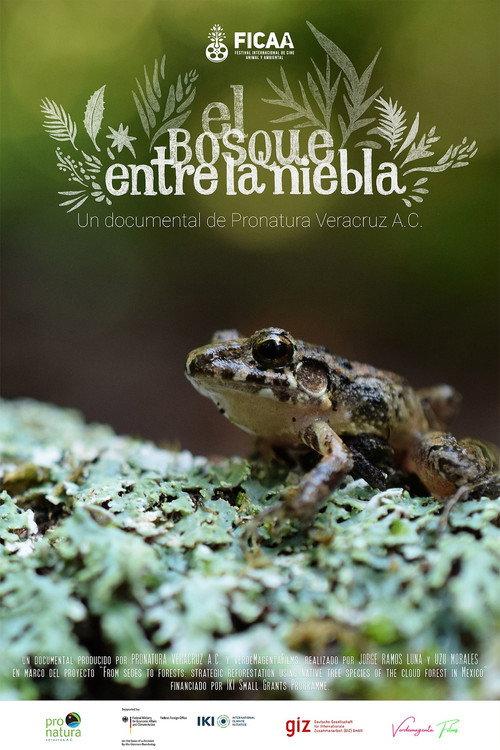 El bosque entre la niebla 2024 official movie poster