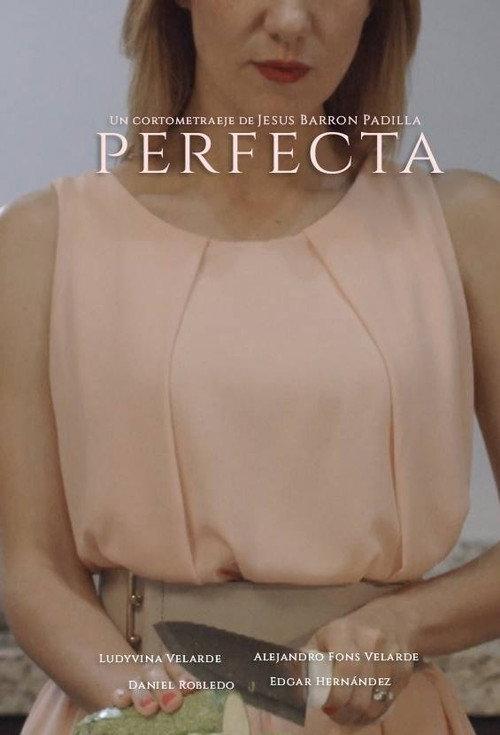 Perfecta 2017 official movie poster