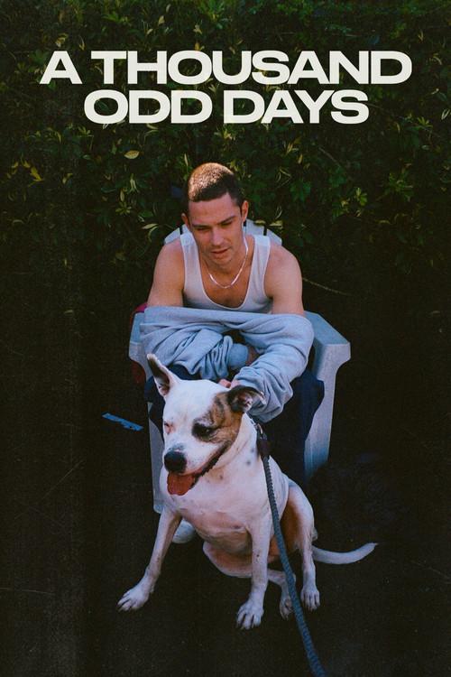 A Thousand Odd Days 2024 official movie poster