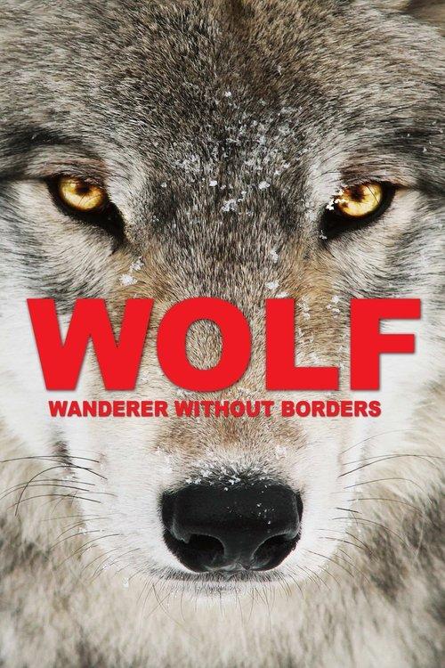 Wolf: Wanderer Without Borders 2022 official movie poster