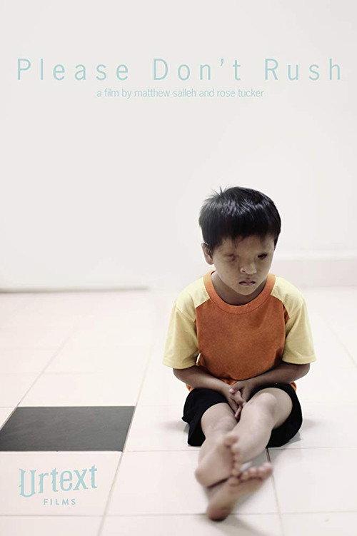 Please Don't Rush 2013 official movie poster