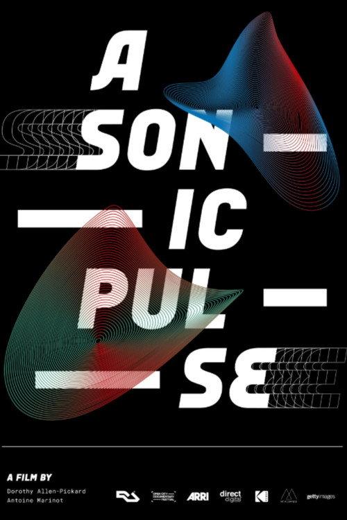 A Sonic Pulse 2019 official movie poster
