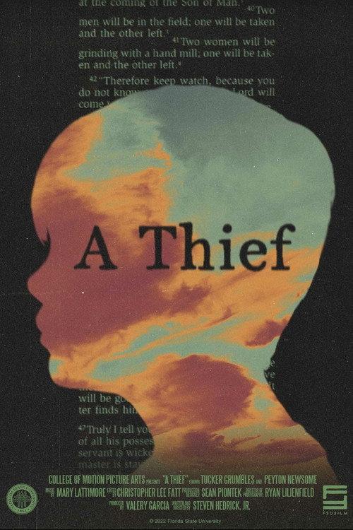 A Thief 2022 official movie poster