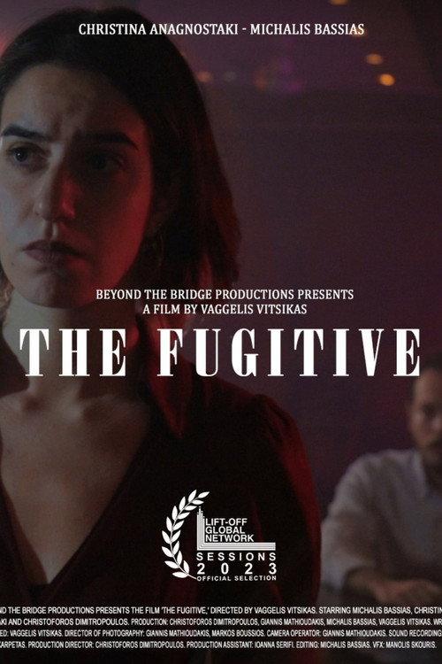 The Fugitive 2024 official movie poster