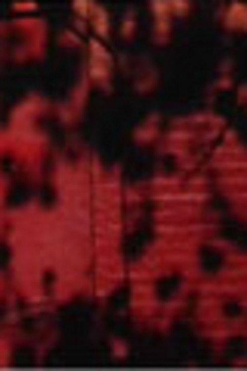 Schatten auf roter Wand 2006 official movie poster