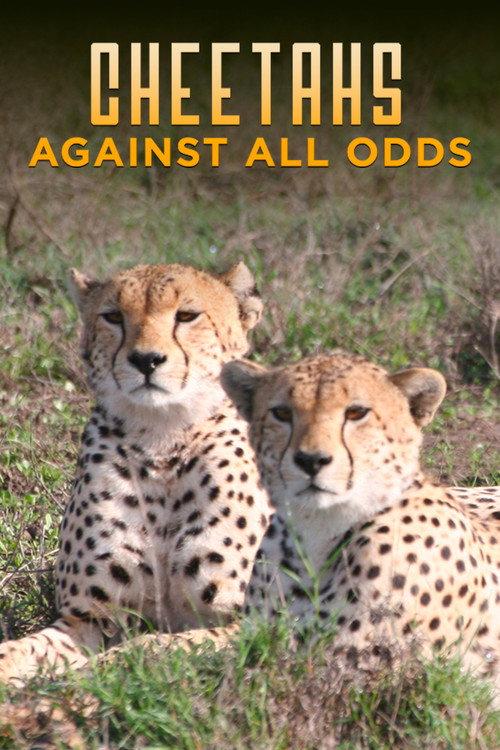 Cheetahs Against All Odds 2009 official movie poster