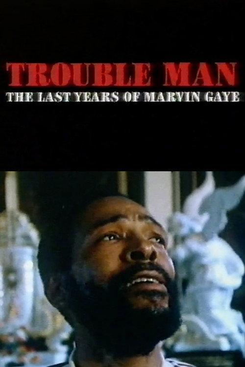 Trouble Man - The Last Years of Marvin Gaye 1994 official movie poster