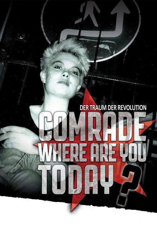 Comrade, Where Are You Today? 2016 official movie poster