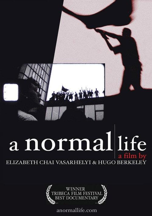 A Normal Life 2003 official movie poster