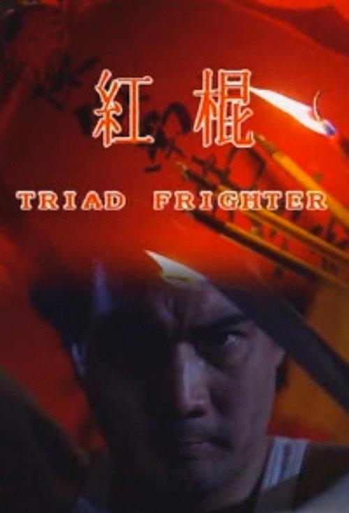 Triad Fighter 1992 official movie poster