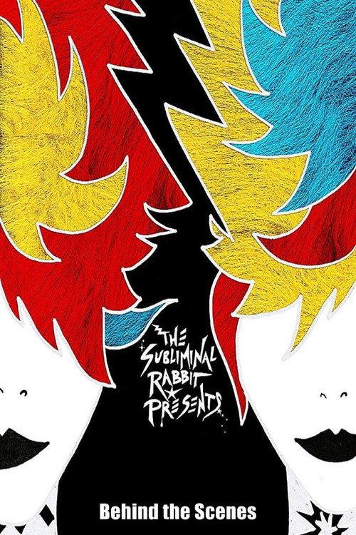 The Subliminal Rabbit Presents: Behind the Scenes 2011 official movie poster
