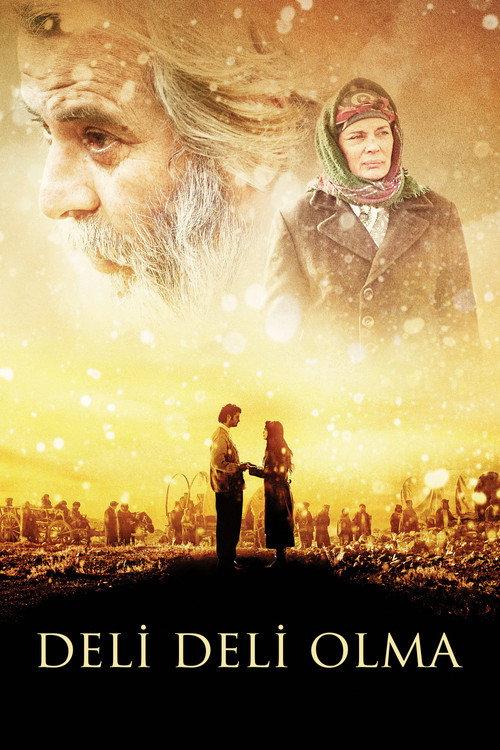 Piano Girl 2009 official movie poster