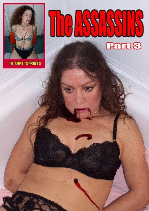 The Assassins Part 3 2011 official movie poster