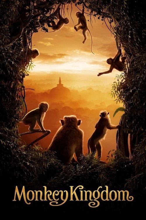 Monkey Kingdom 2015 official movie poster