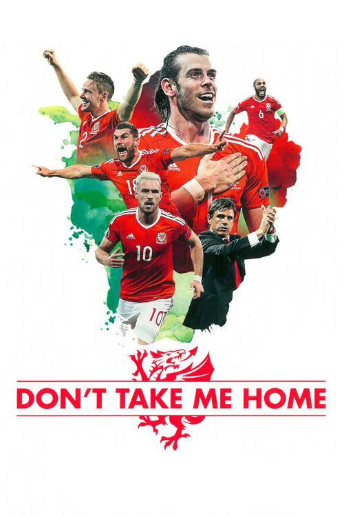 Don't Take Me Home 2017 official movie poster