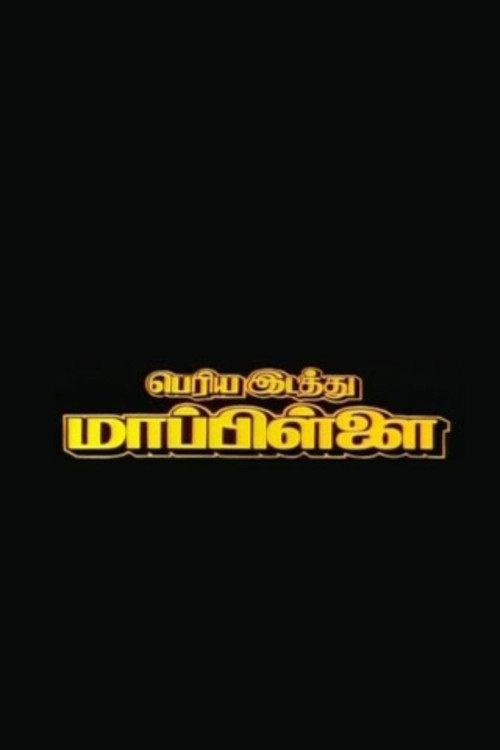Periya Idathu Mappillai 1997 official movie poster