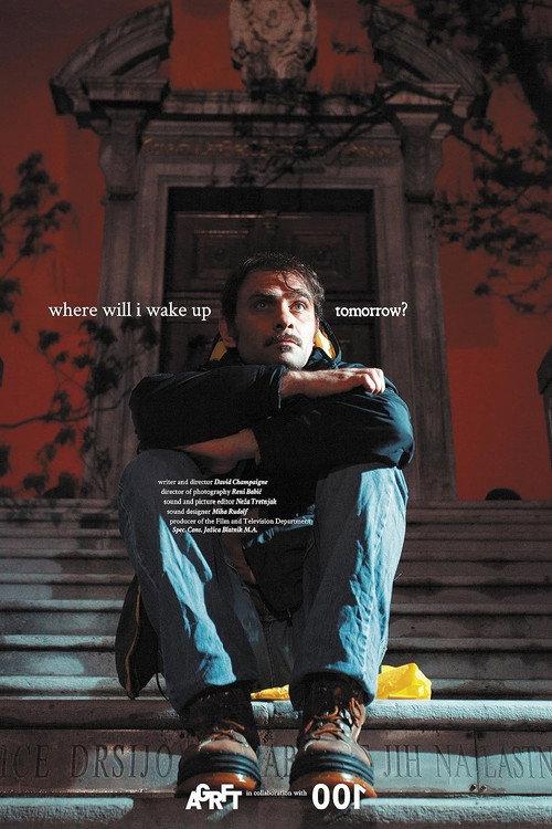 Where Will I Wake Up Tomorrow? 2021 official movie poster