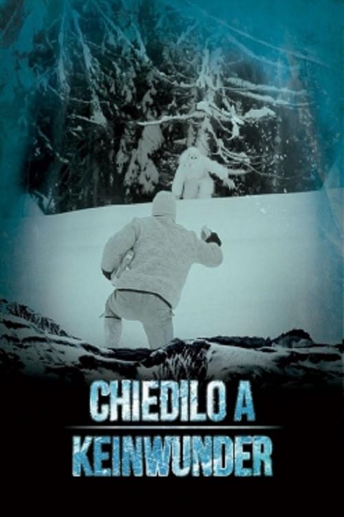 Chiedilo a Keinwunder 2014 official movie poster