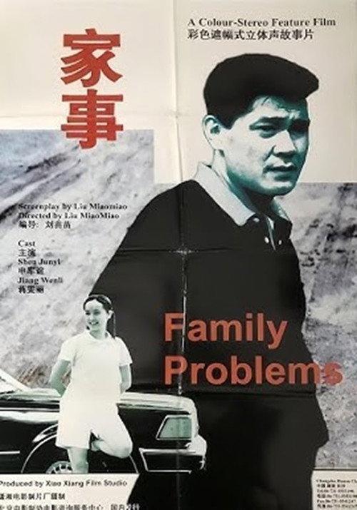 Family Problems 1996 official movie poster