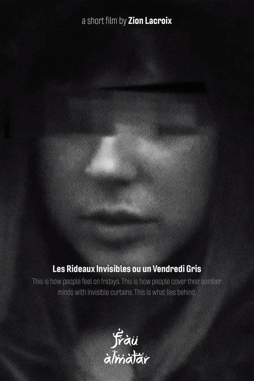 The Invisible Curtains or a Gray Friday  official movie poster