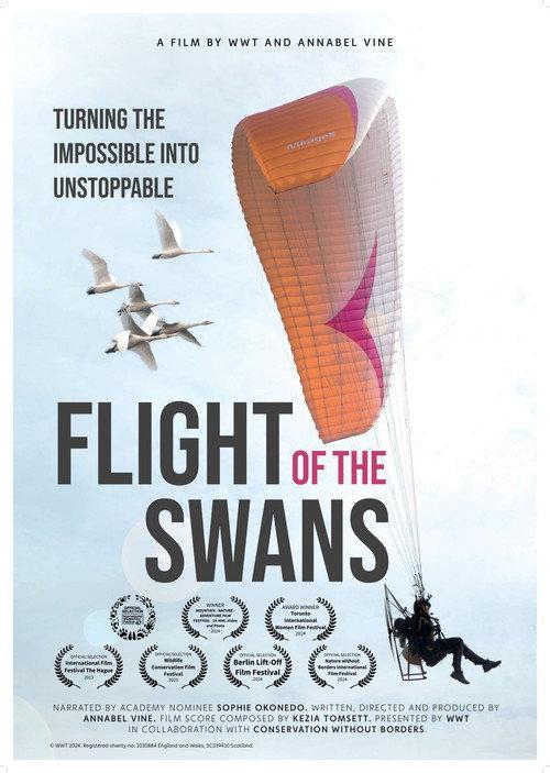Flight of the Swans 2024 official movie poster