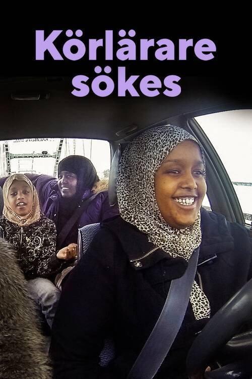 Driving Instructor Needed 2019 official movie poster