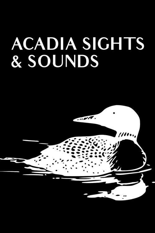 Acadia Sights & Sounds 2009 official movie poster