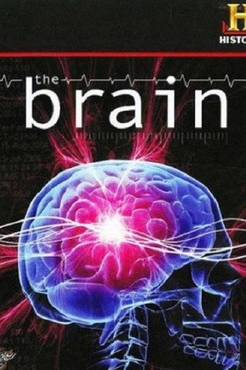 The Brain 2008 official movie poster