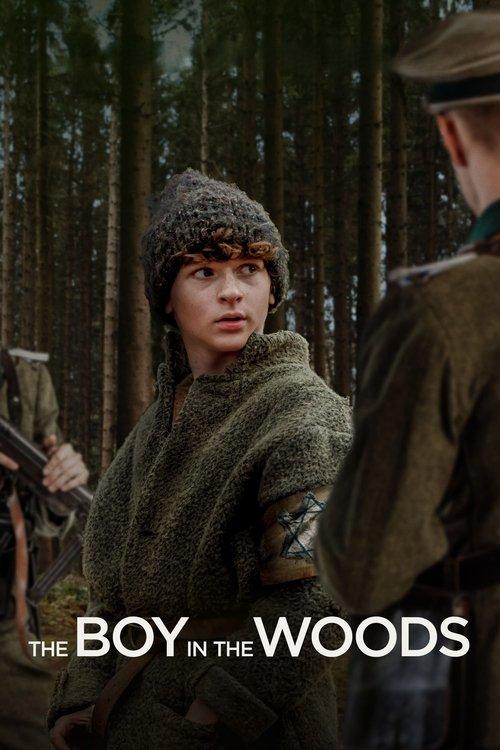 The Boy in the Woods 2023 official movie poster