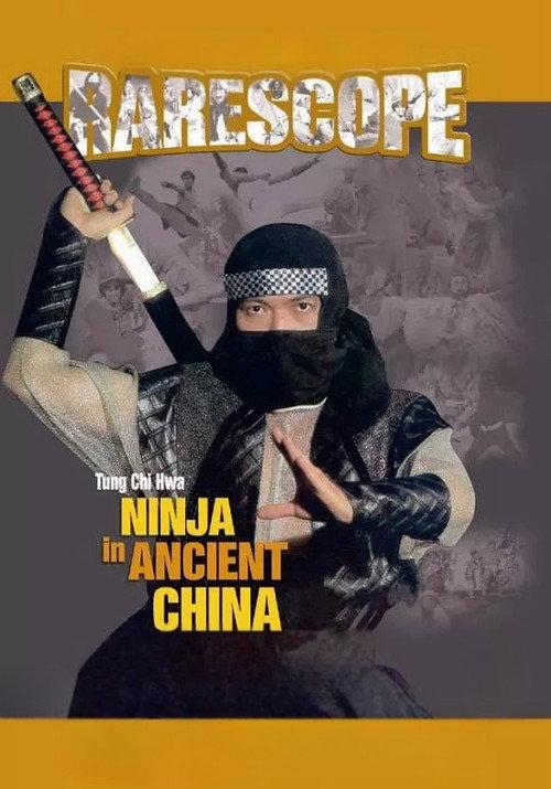 Ninja in Ancient China 1993 official movie poster