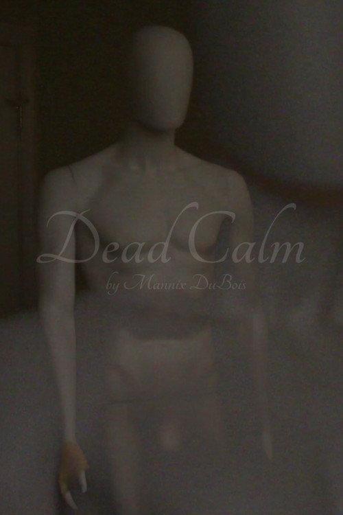 Dead Calm 2026 official movie poster