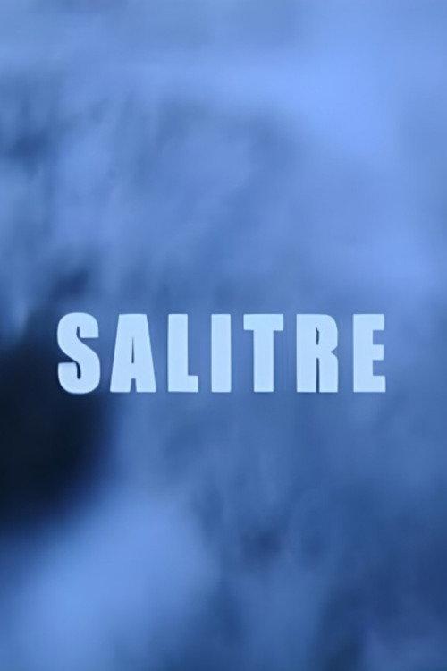 Salitre 2005 official movie poster