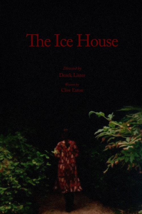The Ice House 1978 official movie poster