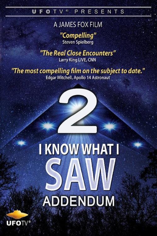 I Know What I Saw Part 2 Addendum 2017 official movie poster