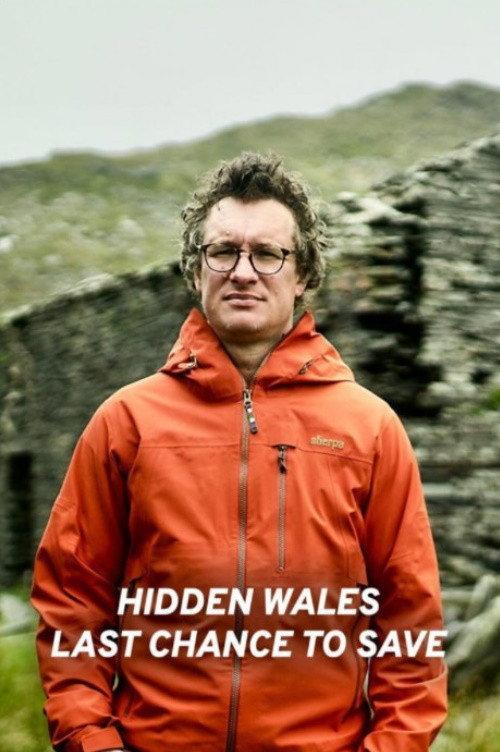 Hidden Wales: Last Chance to Save 2022 official movie poster